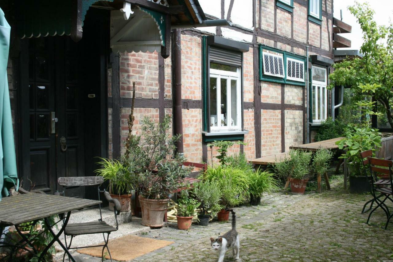 Apartments Cafe Brennnessel Veltheim Экстерьер фото